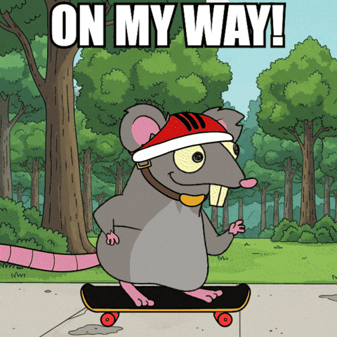 Skate Skating GIF by Web3 Playboys