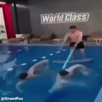 Water Swimming GIF
