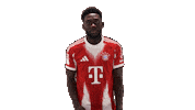 Fc Bayern Football Sticker by Bundesliga