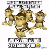Monyet GIF