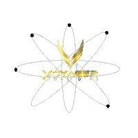 voyagernation bitcoin digitalart voyager sustainablefashion Sticker