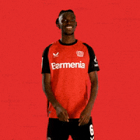 Bayer 04 Bundesliga GIF by Bayer 04 Leverkusen