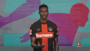 Come Here Bayer Leverkusen GIF by Bundesliga
