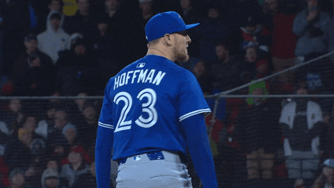Major League Baseball GIF by Toronto Blue Jays