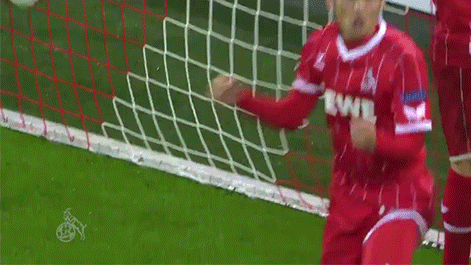football soccer GIF by 1. FC Köln