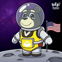 Bonk Usa Flag GIF by Buddies for Paws