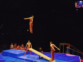 Fail The Greatest Show GIF by Ringling Bros. and Barnum & Bailey