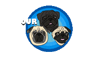 pugrescueaustin pug pugface pugathon pugrescueofaustin Sticker