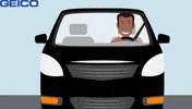 Car What GIF by GEICO