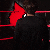 University Of Louisville Swimming GIF by Louisville Cardinals