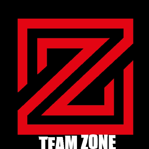 GIF by Team Zone