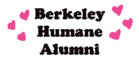 Cat Adopt Sticker by Berkeley Humane