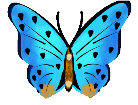 Be Kind Beauty Sticker