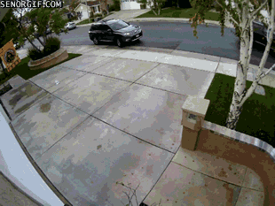 parking fails GIF by Cheezburger
