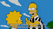 Lisa Simpson GIF by The Simpsons