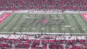 Looney Tunes Buckeyes GIF by tbdbitl