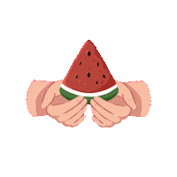 nizart_palette flag freedom watermelon element Sticker