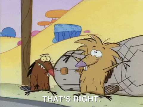 nickrewind giphydvr nicksplat angry beaver giphyab001 GIF