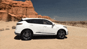 car adventure GIF by BlackPowderWorks
