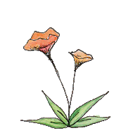 Flower Sticker by verdeamarillo