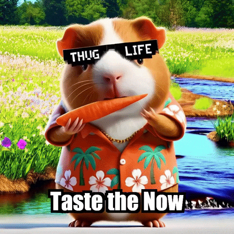 GIF by Guinea Gambino