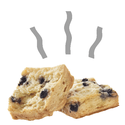 BrothersGerardBakingCo orange chocolate wild sc Sticker