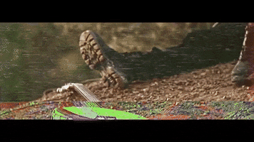 skyern movie film morning sunset GIF