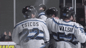 QCStorm storm quad city storm qc storm quad city storm hockey GIF