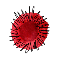 LaColectiva flores fyja fyjapolancoenflores festivalfyja Sticker