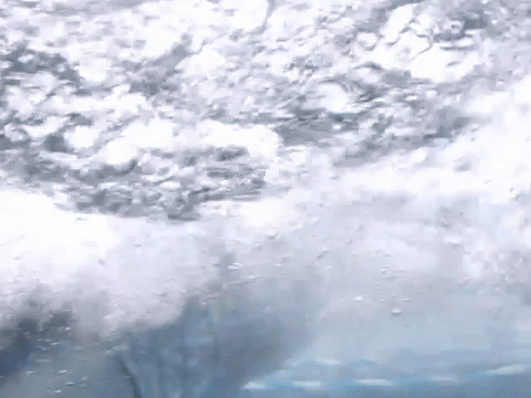 'Mako' Literally Means Man Eater