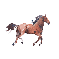 Sparkling Water Hearts Sticker by Cisowianka