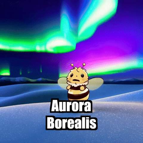 Northern Lights Night GIF by Beelightened
