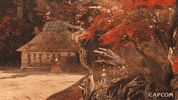 Video Game GIF by CAPCOM
