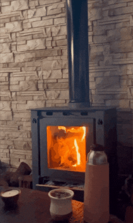 GIF animado