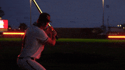 Baseball College GIF by Pearl River Athletics