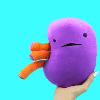 Kidney Stones Surgery GIF by I Heart Guts