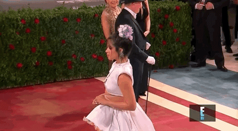 Camila Cabello GIF by E!