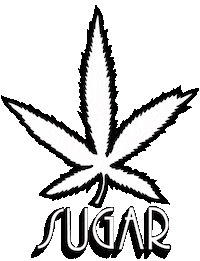 chiemsee 420 surf surfing sugar Sticker