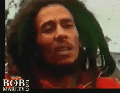 Bob Marley Blank Stare GIF