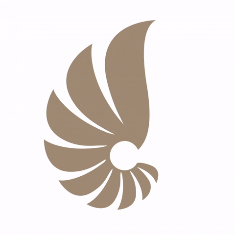 AestheticsInternational giphyupload logo dubai uae GIF