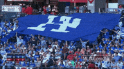 los angeles dodgers GIF by MLB