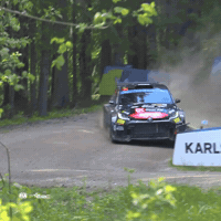 Racing Motorsport GIF by FIA European Rally Championship