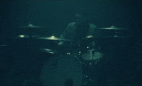Resentment GIF by A Day To Remember