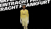 Bundesliga Scream GIF by Eintracht Frankfurt