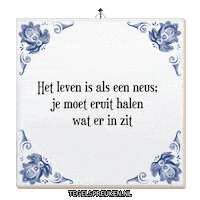 Wijsheid Genieten Sticker by Tegelspreuken.nl