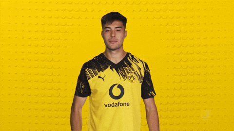 Borussia Dortmund GIF by Bundesliga