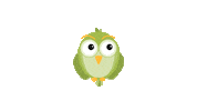 akademilive bird birds online education e learning Sticker
