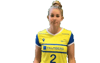 SSCPalmberg_Schwerin volleyball ssc schwerin sscpalmbergschwerin Sticker