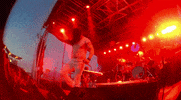 concert burger beach bash GIF by Burger Records