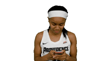Sticker by Providence Friars